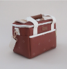 Picture of DESERT ROSE MEDIUM COOLER BAG