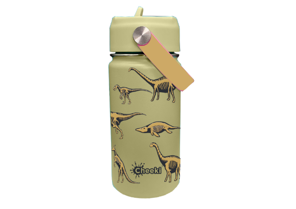 Picture of CHEEKI KIDS WATERBOTTLE INSULATED DINOSAUR 400ML